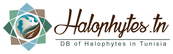 Halophytes logo